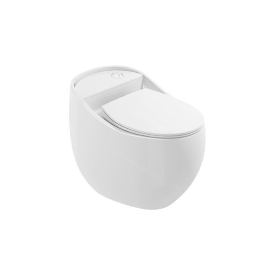 LT-1219 white one-piece-toilets