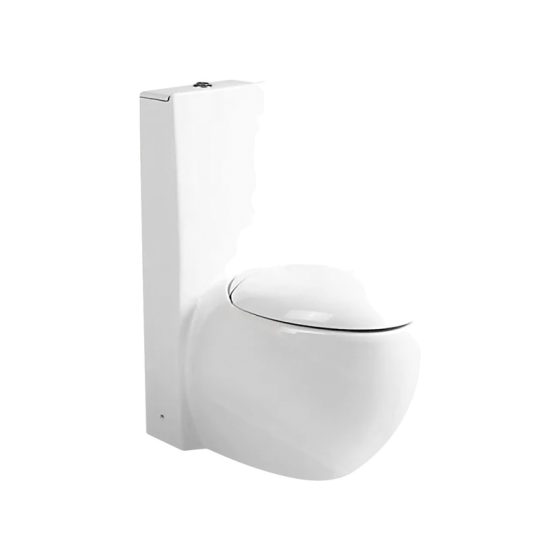 LT-1220 white one-piece-toilets