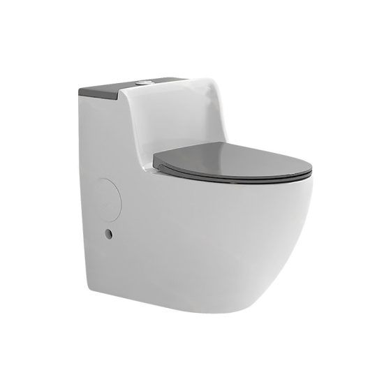 LT-1225-CG-WLG grey one-piece-toilets