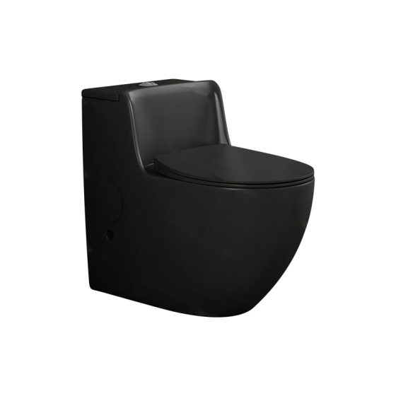 LT-1225-M-BL black one-piece-toilets
