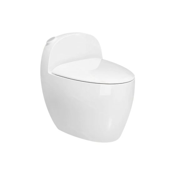 LT-1226 white one-piece-toilets