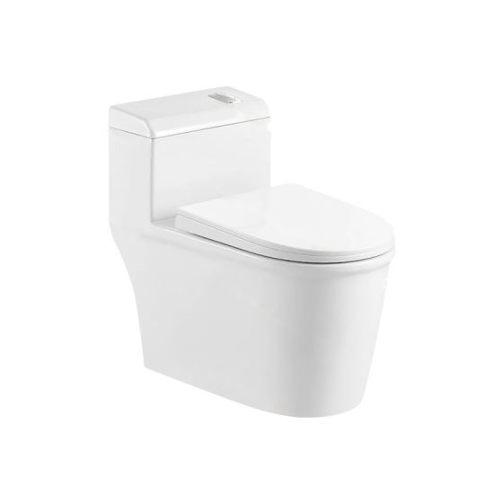 LT-1228 white one-piece-toilets