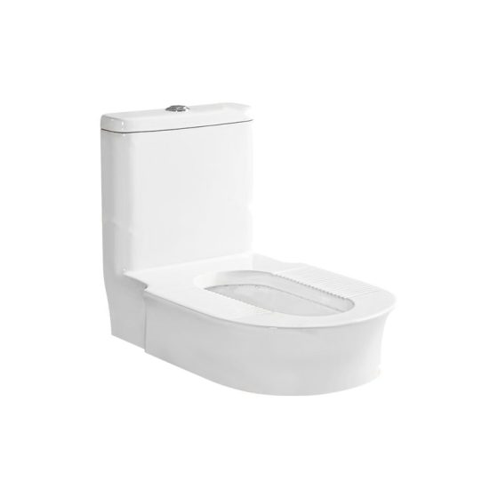 LT-1242 white one-piece-toilets