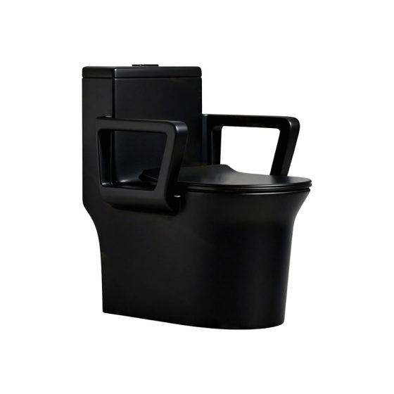 LT-1243-M-BL black one-piece-toilets