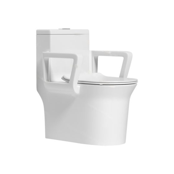 LT-1243 white one-piece-toilets