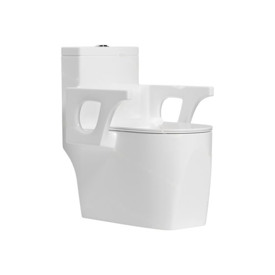 LT-1244 white one-piece-toilets