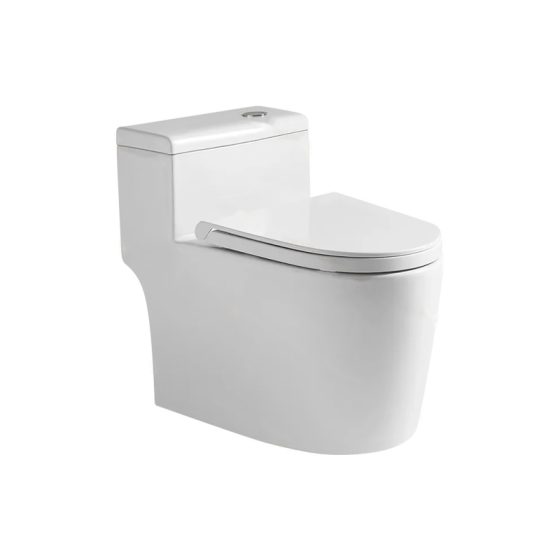 LT-1251 white one-piece-toilets