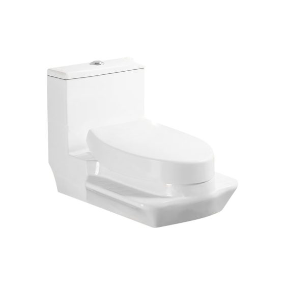 LT-1255 white one-piece-toilets