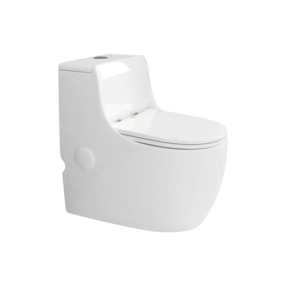 LT-1256 white one-piece-toilets