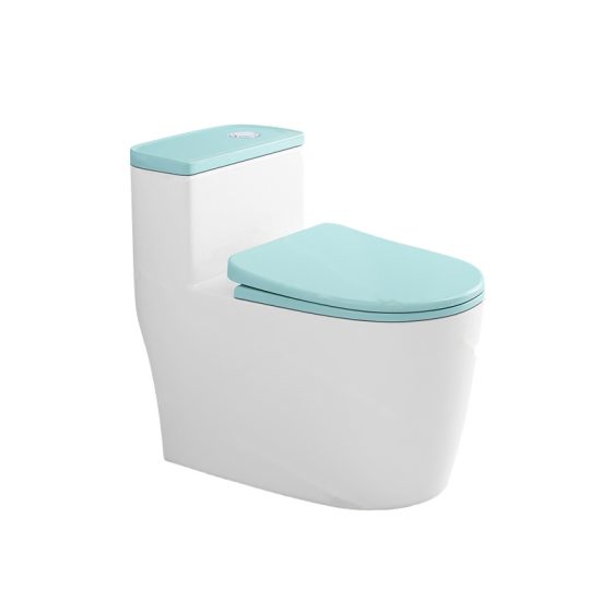 LT-1269-CG-CY white one-piece-toilets