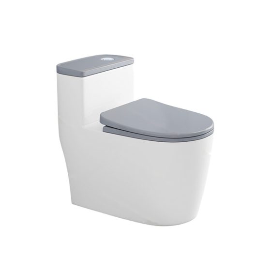 LT-1269-CG-LG white one-piece-toilets