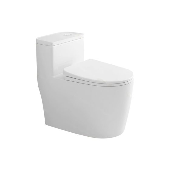 LT-1269 white one-piece-toilets