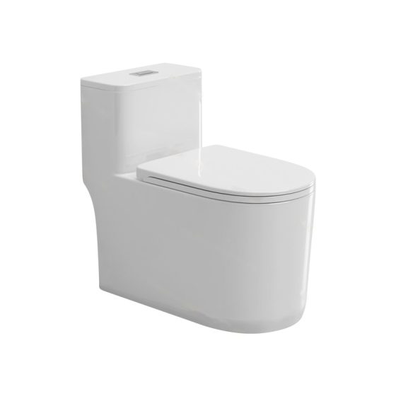 LT-1278 white one-piece-toilets