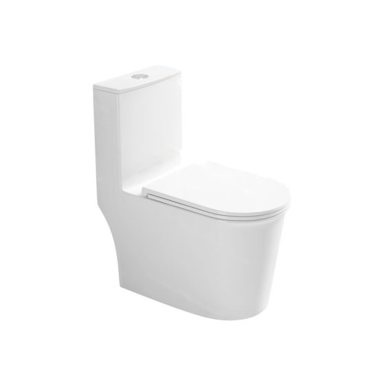 LT-1286 white one-piece-toilets