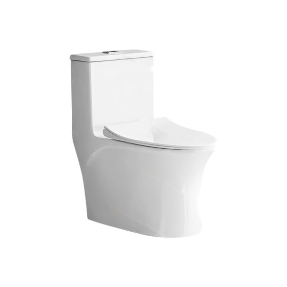 LT-1291 white one-piece-toilets