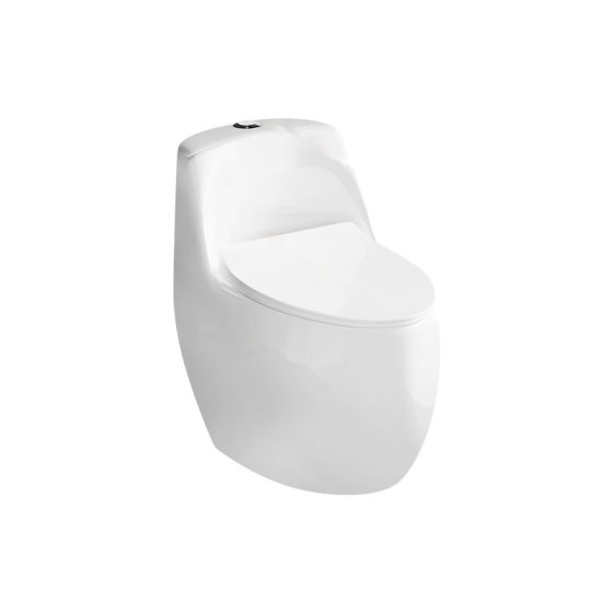 LT-1293 white one-piece-toilets