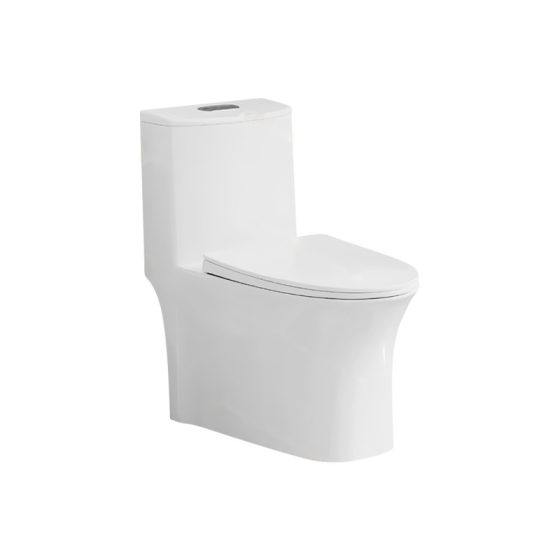 LT-1295 white one-piece-toilets