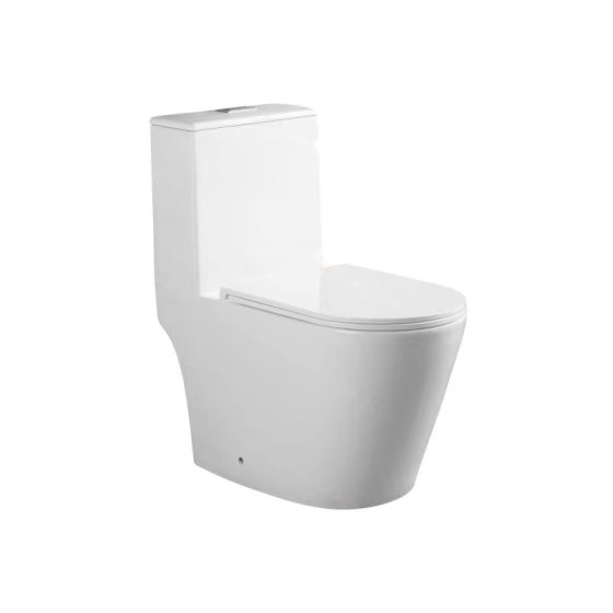 LT-1297 white one-piece-toilets