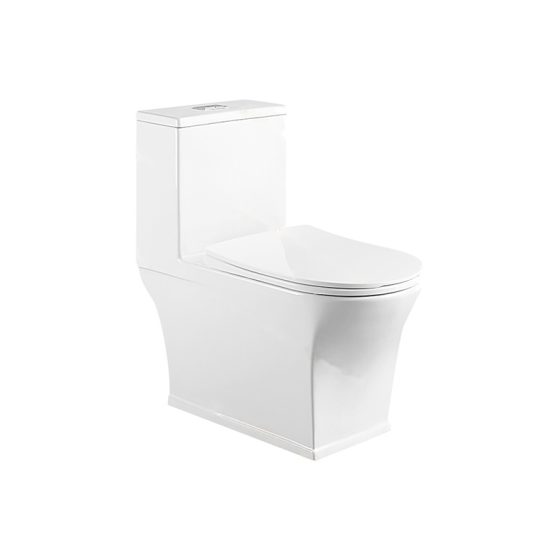 LT-1302 white one-piece-toilets