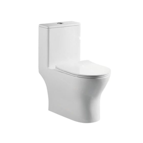 LT-1307 white one-piece-toilets