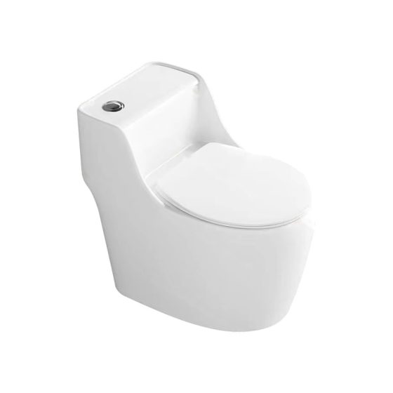 LT-1309 white one-piece-toilets