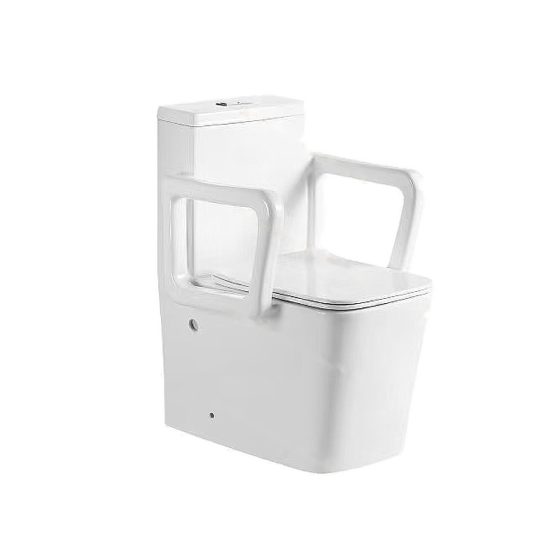 LT-1311 white one-piece-toilets
