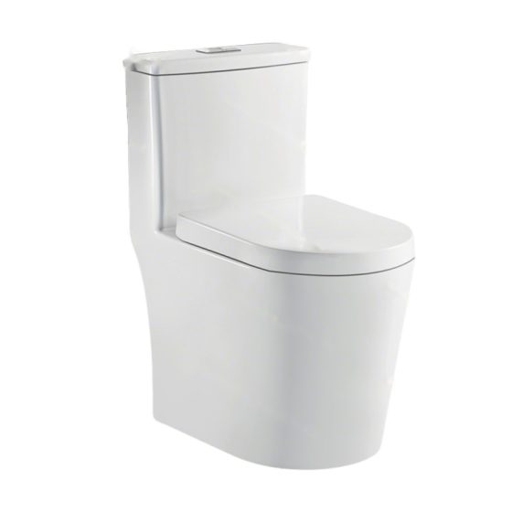 LT-1317 white one-piece-toilets