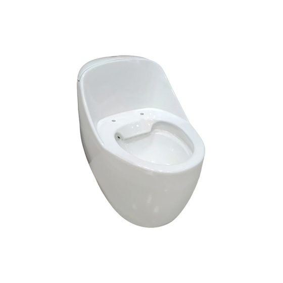 LT-1319-2 white wall-hung-toilets