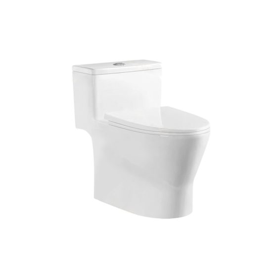 LT-1320 white one-piece-toilets