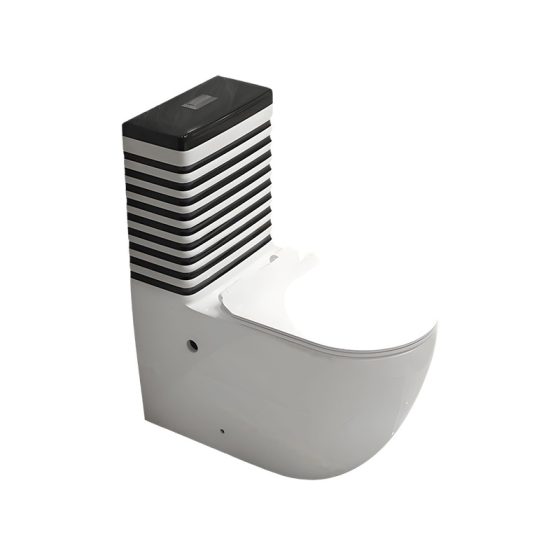 LT-1321-CP-WSBL1 grey one-piece-toilets