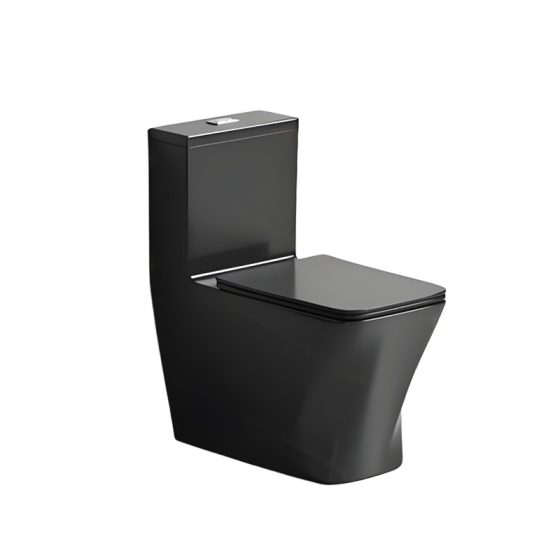 LT-1322-CG-BL black one-piece-toilets