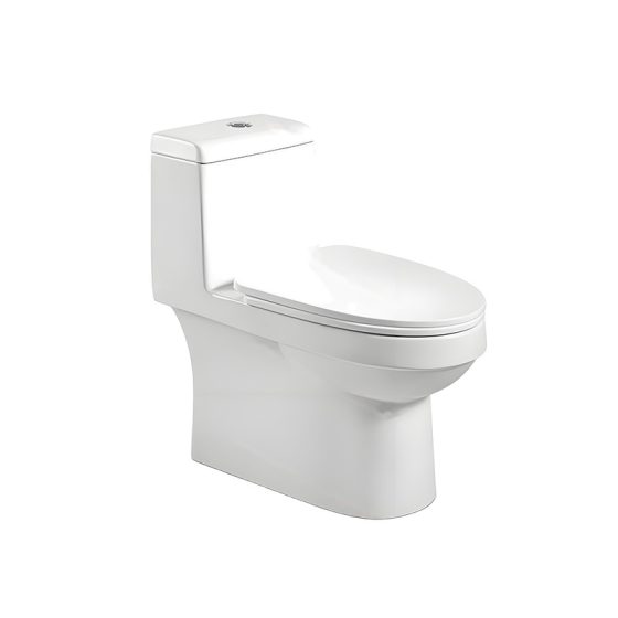 LT-1325 white one-piece-toilets