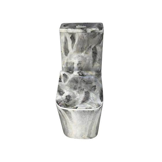 LT-1326-DP-3 patterned one-piece-toilets