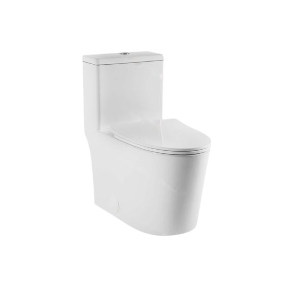LT-1327 white one-piece-toilets