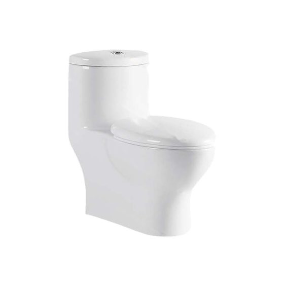 LT-1328 white one-piece-toilets