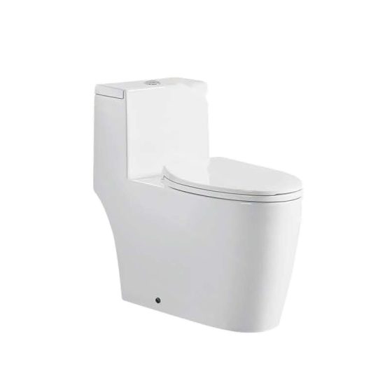 LT-1333 white one-piece-toilets