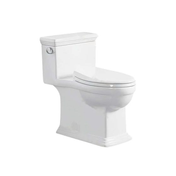 LT-1338 white one-piece-toilets