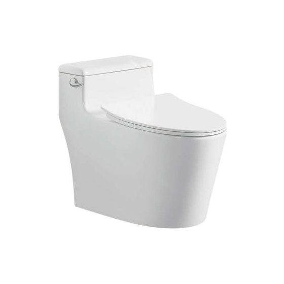 LT-1342 white one-piece-toilets