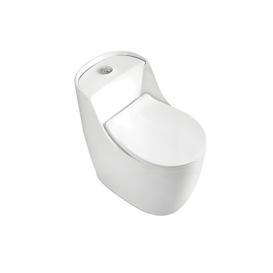LT-1346 white one-piece-toilets