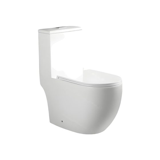 LT-1347 white one-piece-toilets