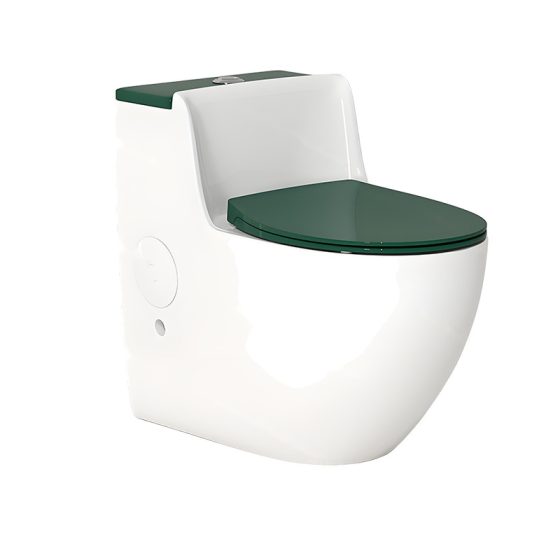 LT-1348-CG-BGW patterned one-piece-toilets