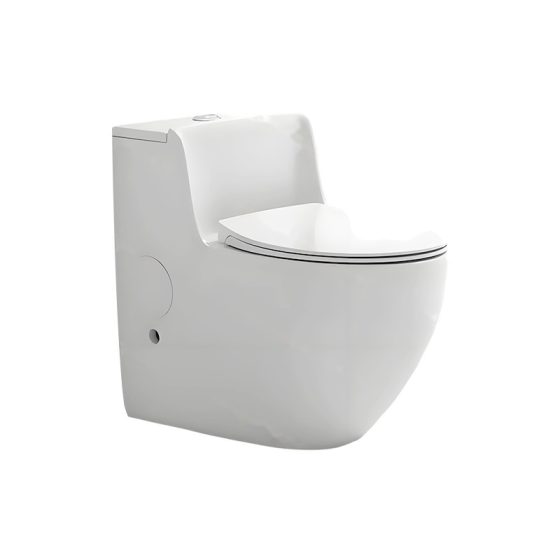 LT-1348 white one-piece-toilets