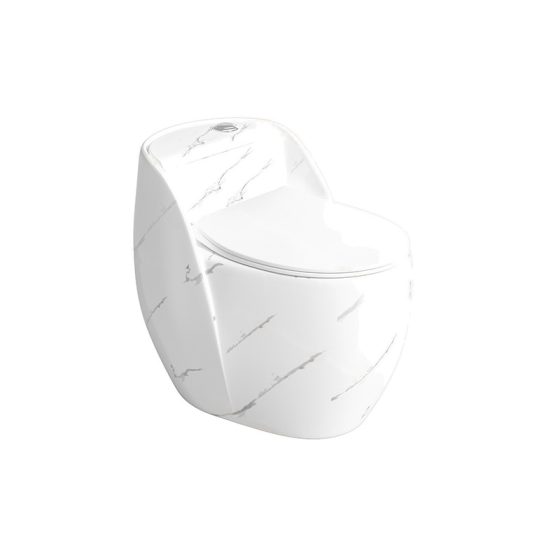 LT-1353-DP-W white one-piece-toilets