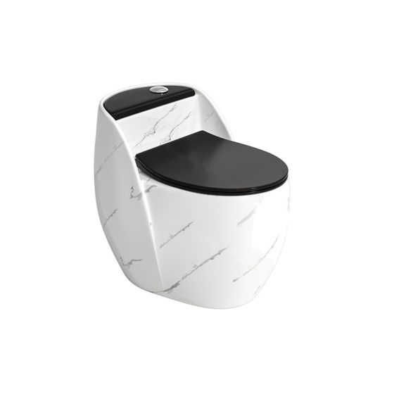 LT-1353-DP-WBL white one-piece-toilets