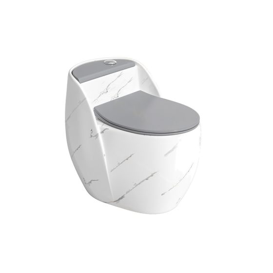 LT-1353-DP-WLG white one-piece-toilets