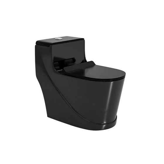 LT-1354-CG-BL black one-piece-toilets