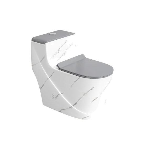 LT-1354-DP-WLG patterned one-piece-toilets