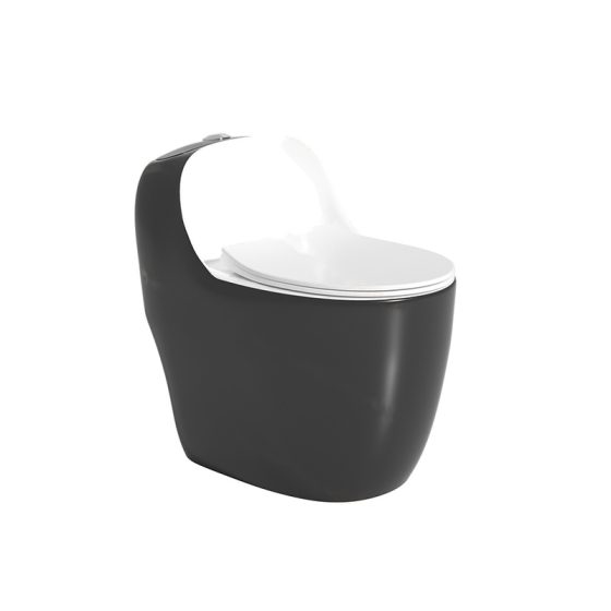 LT-1355-CG-BLW1 black one-piece-toilets