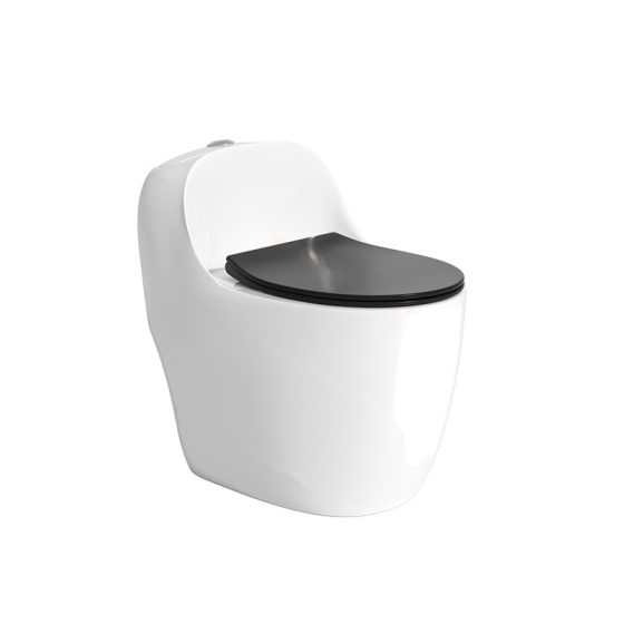 LT-1355-CG-BLW2 patterned one-piece-toilets