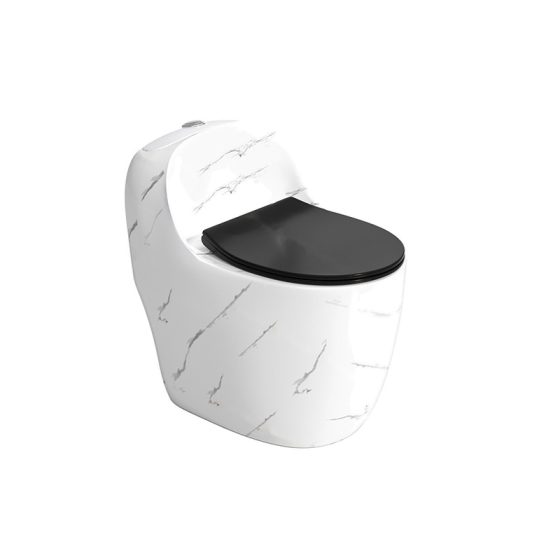 LT-1355-DP-WBL patterned one-piece-toilets